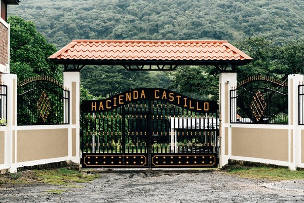 Découvrez les portails et clôtures aluminium Tschoeppé